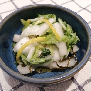 白菜と大根の塩麹柚子風味浅漬け